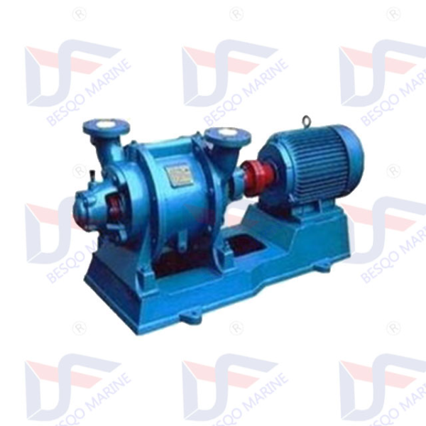 SKSZ Type Water Ring Vacuum Pump