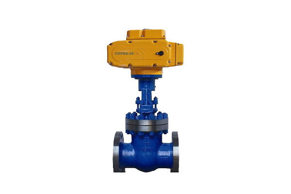 electric gate valve